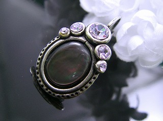 �t�����X�E�A�N�Z�T���[