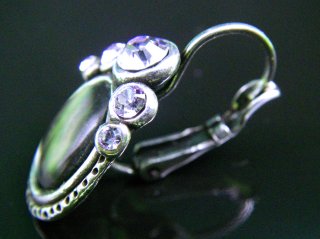 �t�����X�E�A�N�Z�T���[