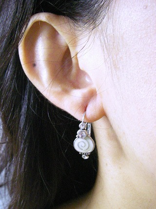 �t�����X�E�A�N�Z�T���[