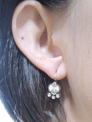 �t�����X�E�A�N�Z�T���[