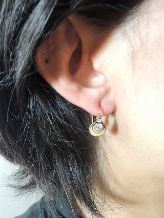 �t�����X�E�A�N�Z�T���[