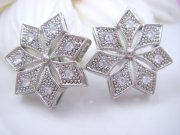 �X�����t�X�L�[�E���C���X�g�[���̃s�A�X