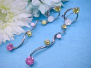 �X�����t�X�L�[�E���C���X�g�[���̃s�A�X