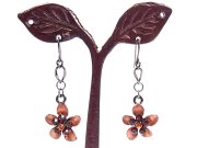 �t�����X���@�X�����t�X�L�[�E���C���X�g�[���@����Ă��@�s�A�X