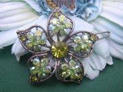 �X�����t�X�L�[�E���C���X�g�[���̃w�A�s��