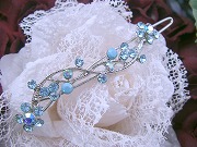 �X�����t�X�L�[�E���C���X�g�[���̃w�A�s��