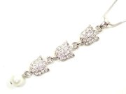 �X�����t�X�L�[�E���C���X�g�[���@�y���_���g