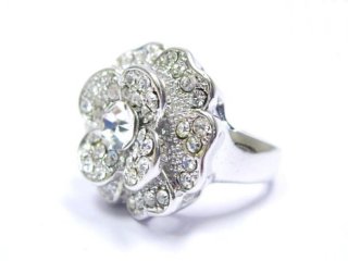 �X�����t�X�L�[�E���C���X�g�[���@�����O