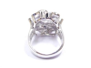 �X�����t�X�L�[�E���C���X�g�[���@�����O