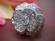 �X�����t�X�L�[ ���C���X�g�[�� �����O