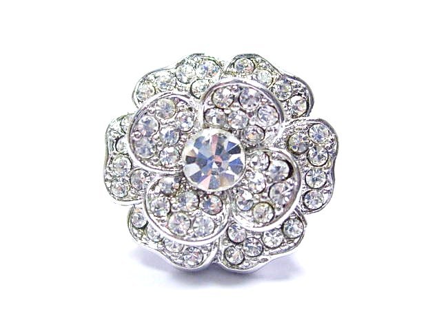 �X�����t�X�L�[�E���C���X�g�[���@�����O