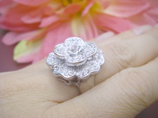 <��>�X�����t�X�L�[�E���C���X�g�[���@�����O