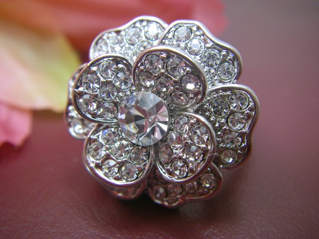 �X�����t�X�L�[�E���C���X�g�[���@�����O