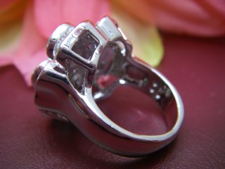 �X�����t�X�L�[�E���C���X�g�[���@�����O