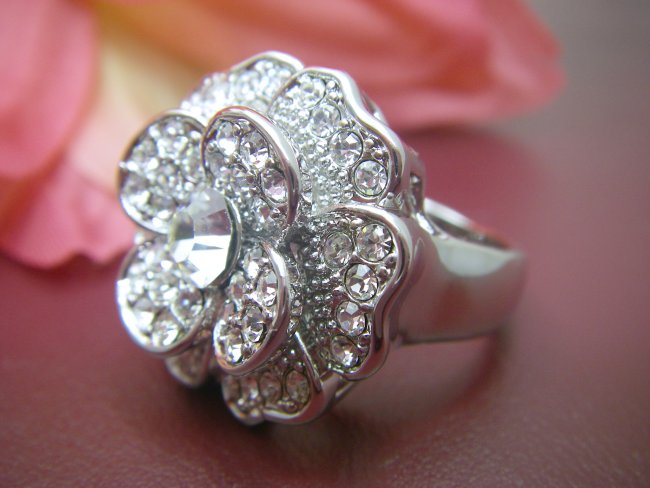 �X�����t�X�L�[�E���C���X�g�[���@�����O