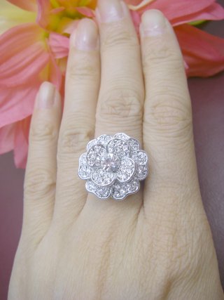 �X�����t�X�L�[�E���C���X�g�[���@�����O