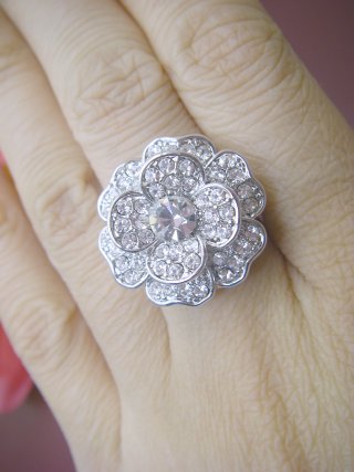 �X�����t�X�L�[�E���C���X�g�[���@�����O