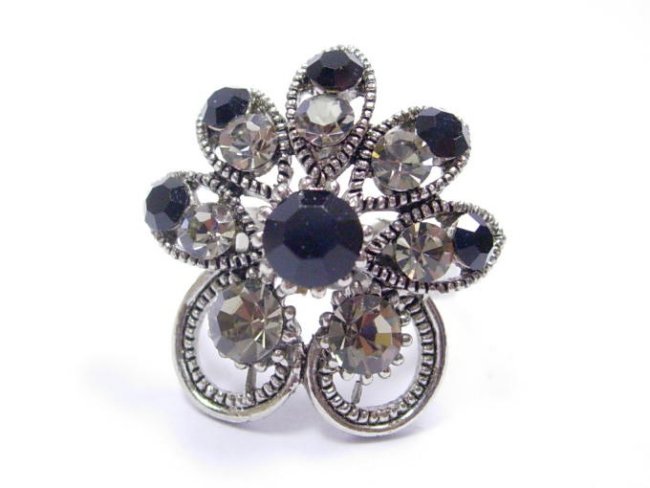 �X�����t�X�L�[�E���C���X�g�[���̃����O