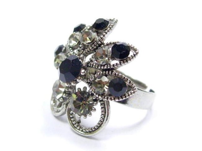 �X�����t�X�L�[�E���C���X�g�[���̃����O