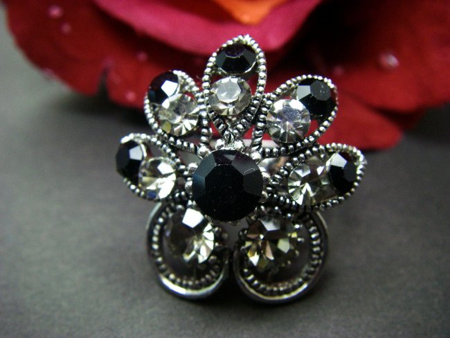 �X�����t�X�L�[�E���C���X�g�[���̃����O