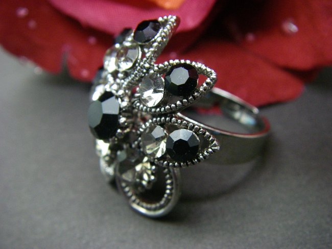 �X�����t�X�L�[�E���C���X�g�[���̃����O