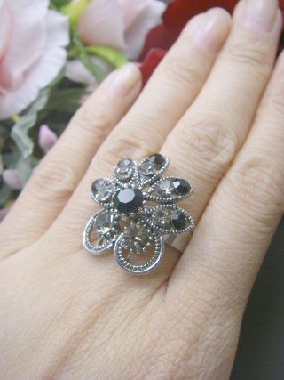 �X�����t�X�L�[�E���C���X�g�[���̃����O