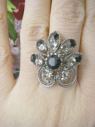 �X�����t�X�L�[�E���C���X�g�[���̃����O