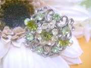 �X�����t�X�L�[ ���C���X�g�[�� �����O