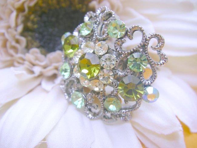 �X�����t�X�L�[�E���C���X�g�[���@�����O