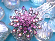 ���C���X�g�[���̂��񂴂�