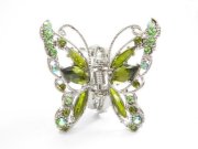 �X�����t�X�L�[�E���C���X�g�[���̃w�A�N���b�v