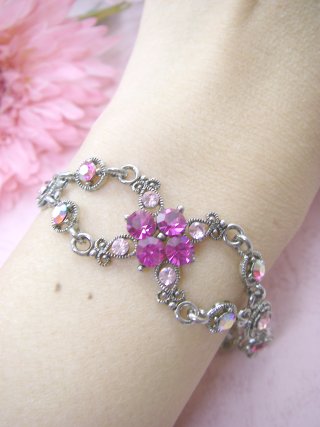 �X�����t�X�L�[�E���C���X�g�[���@�u���X���b�g