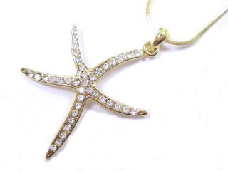 �q�g�f�@�y���_���g