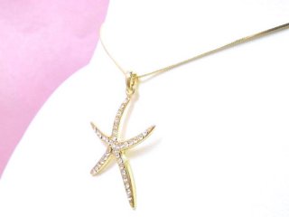 �X�����t�X�L�[�E���C���X�g�[���@�y���_���g