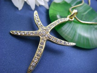 �X�����t�X�L�[�E���C���X�g�[���ƃr�[�Y�̃l�b�N���X