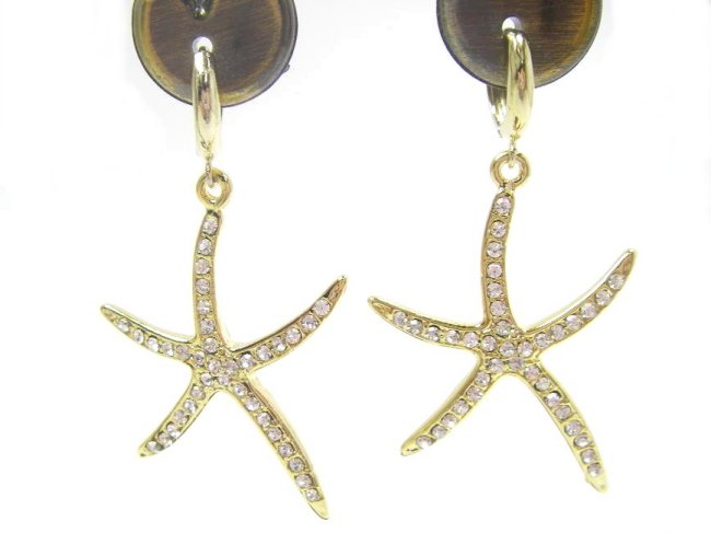 �X�����t�X�L�[�E���C���X�g�[���@�s�A�X�@�q�g�f