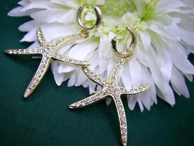 �X�����t�X�L�[�E���C���X�g�[���@�s�A�X�@�q�g�f