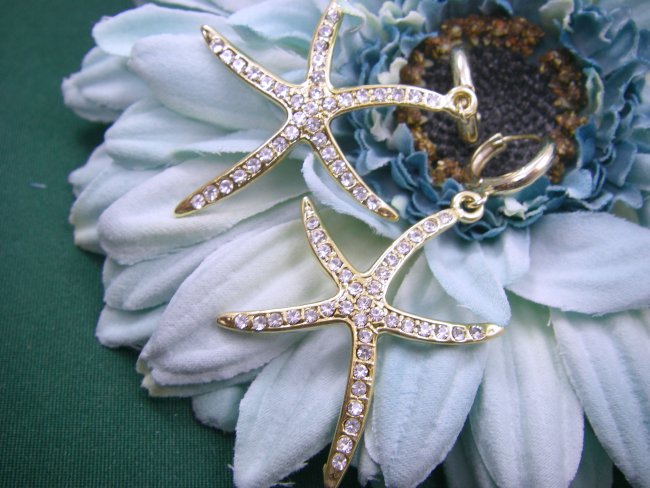 �X�����t�X�L�[�E���C���X�g�[���@�s�A�X�@�q�g�f