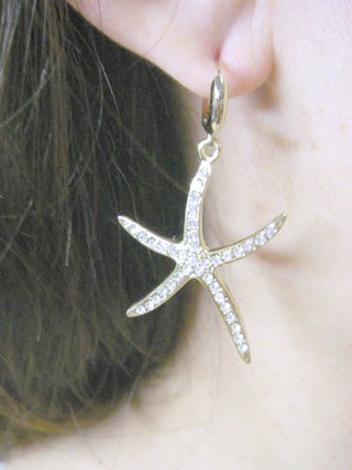 �X�����t�X�L�[�E���C���X�g�[���@�s�A�X�@�q�g�f