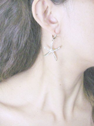 �X�����t�X�L�[�E���C���X�g�[���@�s�A�X�@�q�g�f