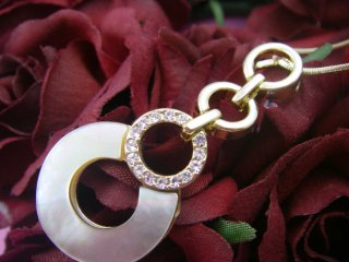 �X�����t�X�L�[�E���C���X�g�[���ƃr�[�Y�̃l�b�N���X