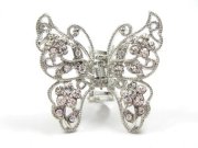 �X�����t�X�L�[�E���C���X�g�[���̃w�A�N���b�v