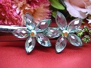 �w�A�N���b�v