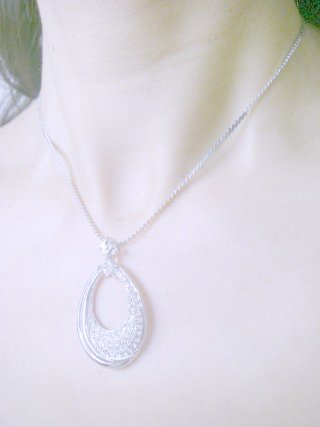 �X�����t�X�L�[�E���C���X�g�[���@�y���_���g