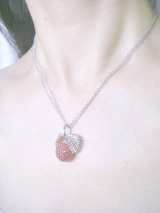 �X�����t�X�L�[�E���C���X�g�[���@�y���_���g