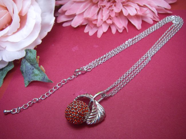 �X�����t�X�L�[�E���C���X�g�[���@�y���_���g