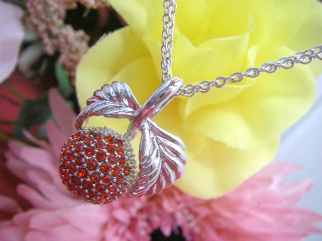 �X�����t�X�L�[�E���C���X�g�[���@�y���_���g