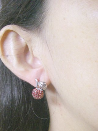 �X�����t�X�L�[�E���C���X�g�[���@�s�A�X