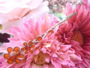 �X�����t�X�L�[�E���C���X�g�[���̃w�A�s��