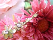 �X�����t�X�L�[�E���C���X�g�[���̃w�A�s��